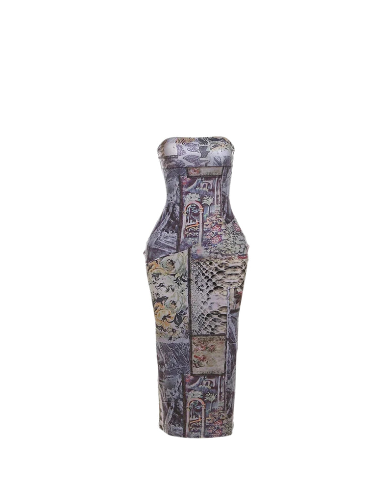 Reina Printed Tube Midi